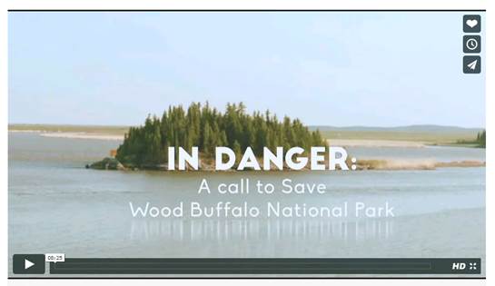 WBNP video image