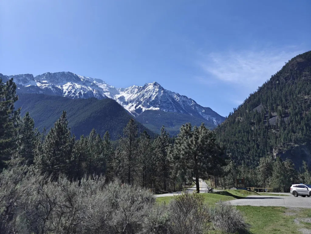 Snow-capped mountains rising above a forest of pine trees next to a paved road.