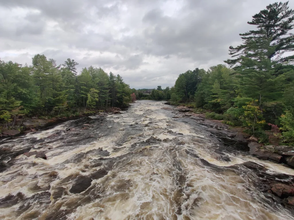 A river with rushing white water rapids flows through a forested landscape under a cloudy sky.